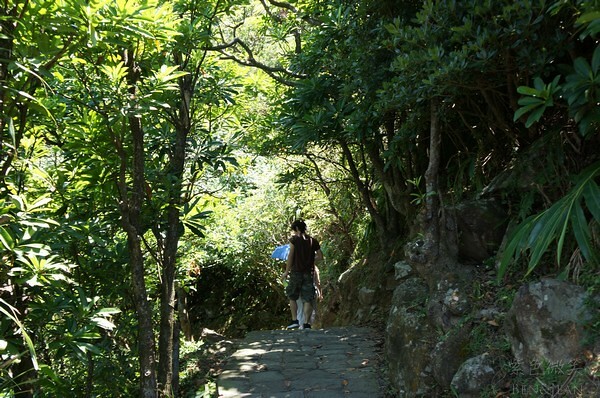 宜蘭縣頭城鎮龜山島賞鯨|龜山島半日遊》賞鯨登島繞島三合一,賞龜山島八景,牛奶海立槳好好玩