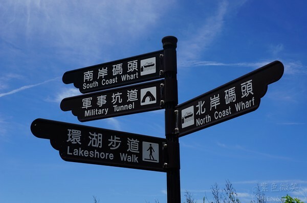 宜蘭縣頭城鎮龜山島賞鯨|龜山島半日遊》賞鯨登島繞島三合一,賞龜山島八景,牛奶海立槳好好玩