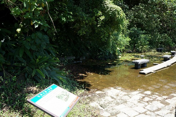 宜蘭縣頭城鎮龜山島賞鯨|龜山島半日遊》賞鯨登島繞島三合一,賞龜山島八景,牛奶海立槳好好玩