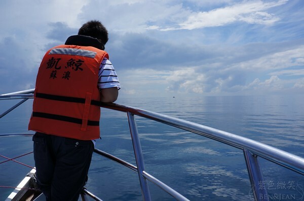 宜蘭縣頭城鎮龜山島賞鯨|龜山島半日遊》賞鯨登島繞島三合一,賞龜山島八景,牛奶海立槳好好玩