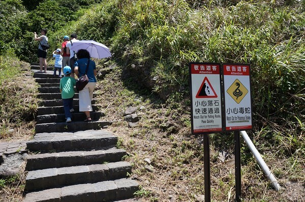 宜蘭縣頭城鎮龜山島賞鯨|龜山島半日遊》賞鯨登島繞島三合一,賞龜山島八景,牛奶海立槳好好玩