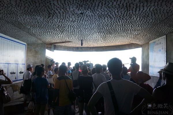 宜蘭縣頭城鎮龜山島賞鯨|龜山島半日遊》賞鯨登島繞島三合一,賞龜山島八景,牛奶海立槳好好玩