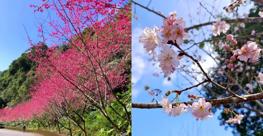宜蘭縣冬山鄉武淵水火同源親子公園》滾輪溜滑梯、大碗公溜滑梯、戲水池大沙坑攀爬網
