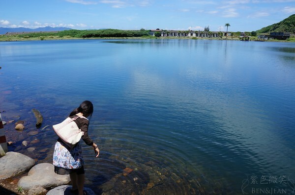 宜蘭縣頭城鎮龜山島賞鯨|龜山島半日遊》賞鯨登島繞島三合一,賞龜山島八景,牛奶海立槳好好玩
