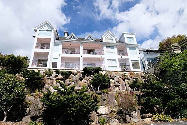 2024年梅峰農場-春之饗宴﹝桃花廊﹞ 2024年梅峰農場-春之饗宴﹝桃花廊﹞