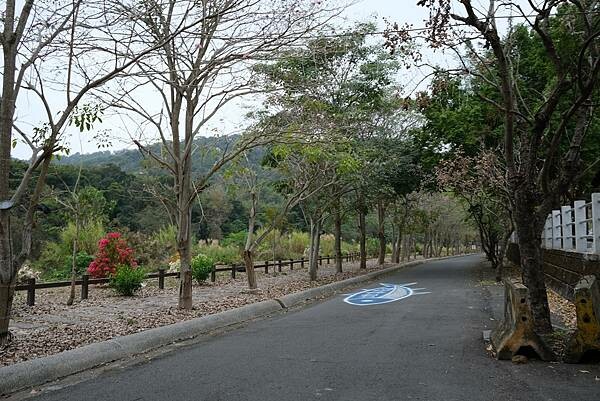 [南投‧鹿谷]清水溝溪麝香木花道