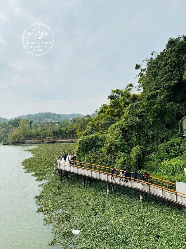 往大自然的方向前進!湖光山色,生態體驗,單車漫遊,全齡友善,共享親子好時光~新竹峨眉環湖步道 - 魚兒 x 牽手明太子的「視」界旅行