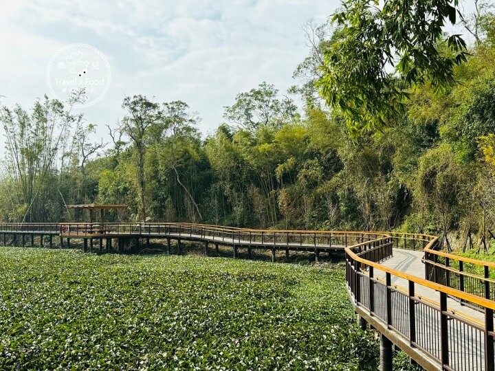 往大自然的方向前進!湖光山色,生態體驗,單車漫遊,全齡友善,共享親子好時光~新竹峨眉環湖步道 - 魚兒 x 牽手明太子的「視」界旅行