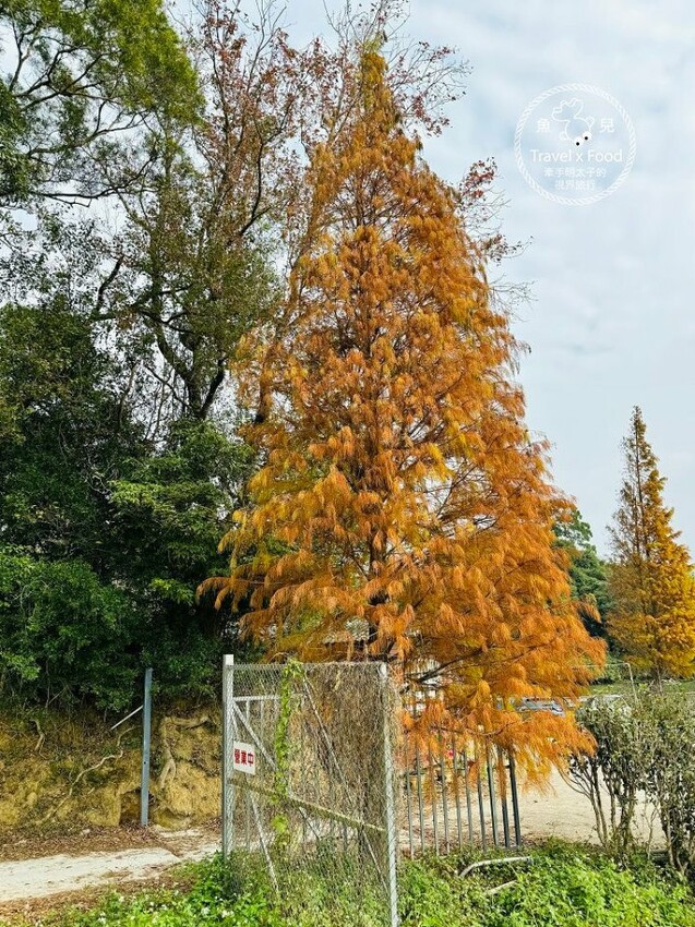 往大自然的方向前進!湖光山色,生態體驗,單車漫遊,全齡友善,共享親子好時光~新竹峨眉環湖步道 - 魚兒 x 牽手明太子的「視」界旅行