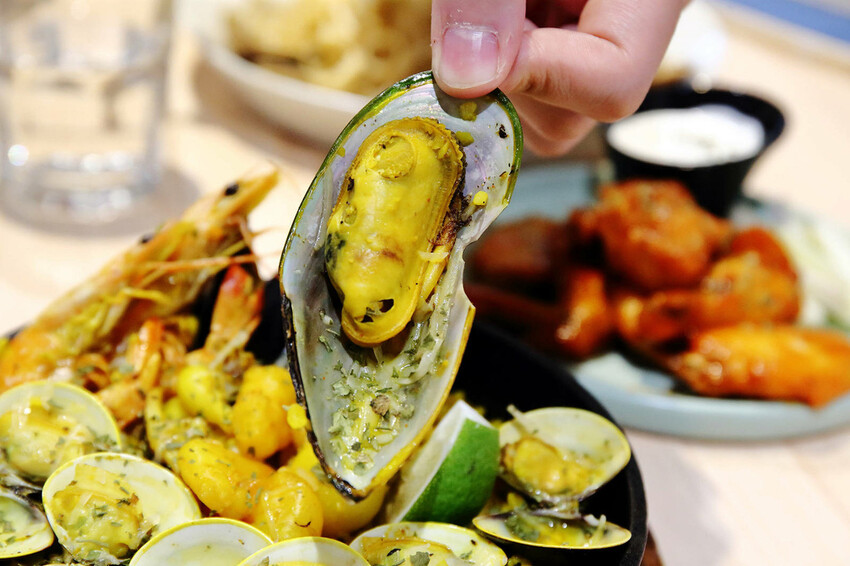 台中全新寵物餐廳開幕！瘋狂尾巴寵物遊樂園，結合了寵物餐廳、寵