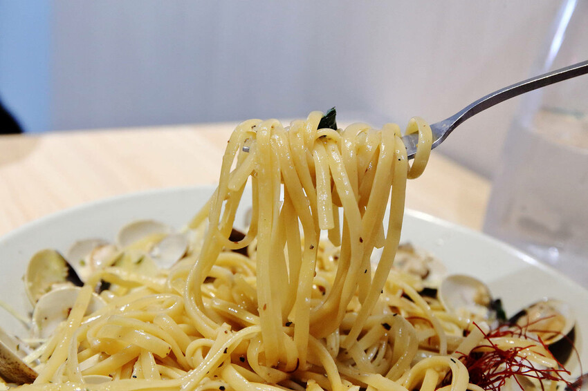 台中全新寵物餐廳開幕！瘋狂尾巴寵物遊樂園，結合了寵物餐廳、寵