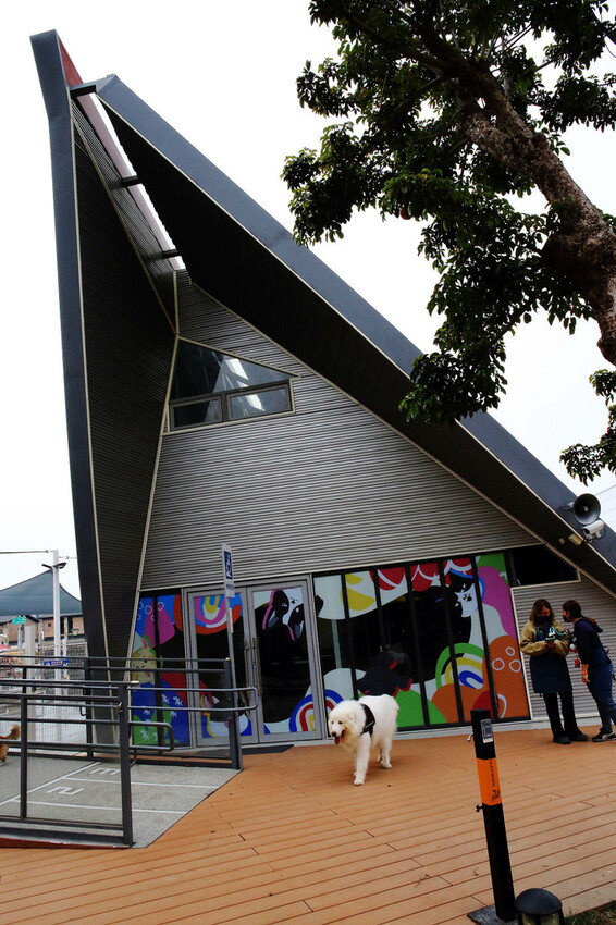 台中全新寵物餐廳開幕！瘋狂尾巴寵物遊樂園，結合了寵物餐廳、寵
