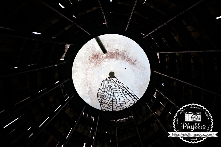 自然樂活必去『三坑自然生態公園』免費親子景點｜風景如畫空氣清新｜讓你逛完超放鬆｜龍潭景點 - 相片中的菲莉絲