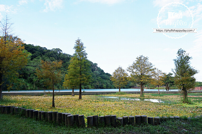 自然樂活必去『三坑自然生態公園』免費親子景點｜風景如畫空氣清新｜讓你逛完超放鬆｜龍潭景點 - 相片中的菲莉絲
