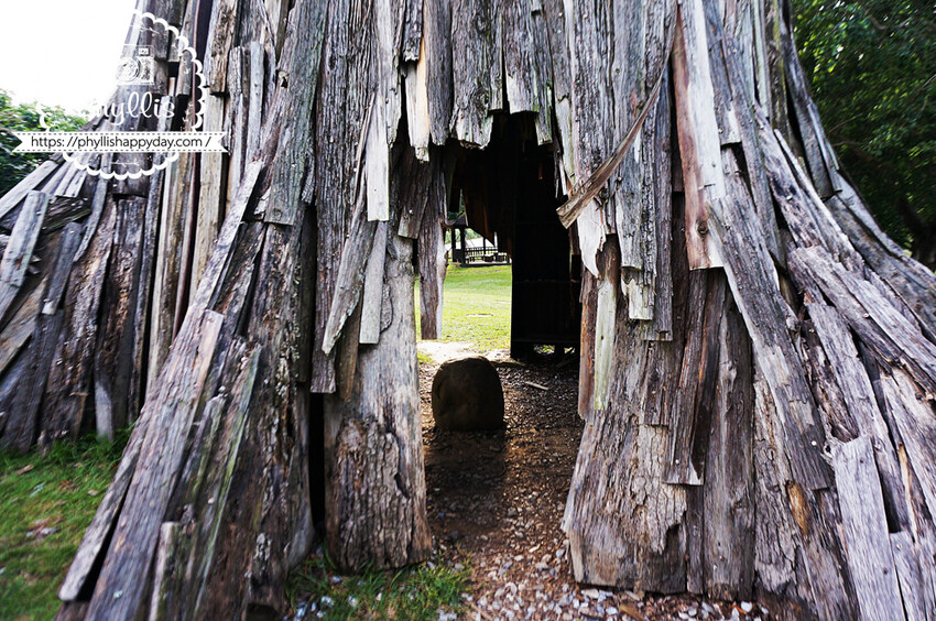 自然樂活必去『三坑自然生態公園』免費親子景點｜風景如畫空氣清新｜讓你逛完超放鬆｜龍潭景點 - 相片中的菲莉絲