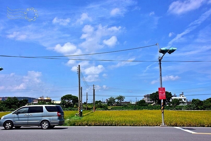 苗栗金黃稻田景色 苗栗金黃稻田景色