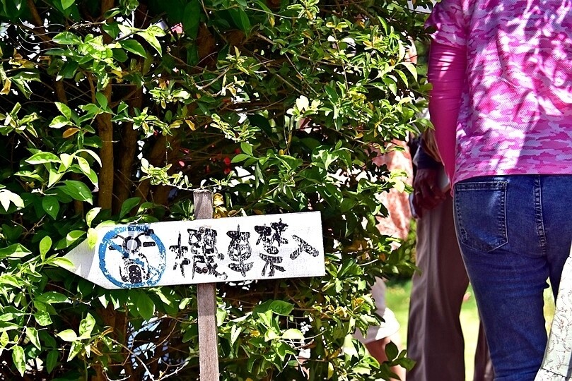 通宵龍貓車站 通宵龍貓車站