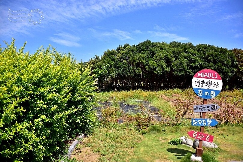 通宵龍貓車站 通宵龍貓車站