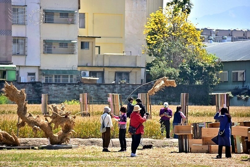 大雅小麥文化節主場