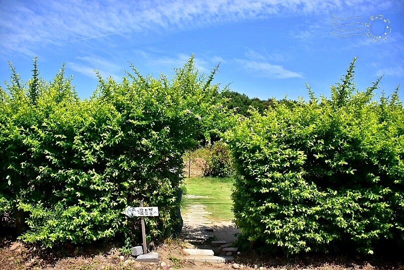 通宵龍貓車站 通宵龍貓車站