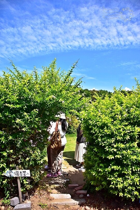 通宵龍貓車站 通宵龍貓車站