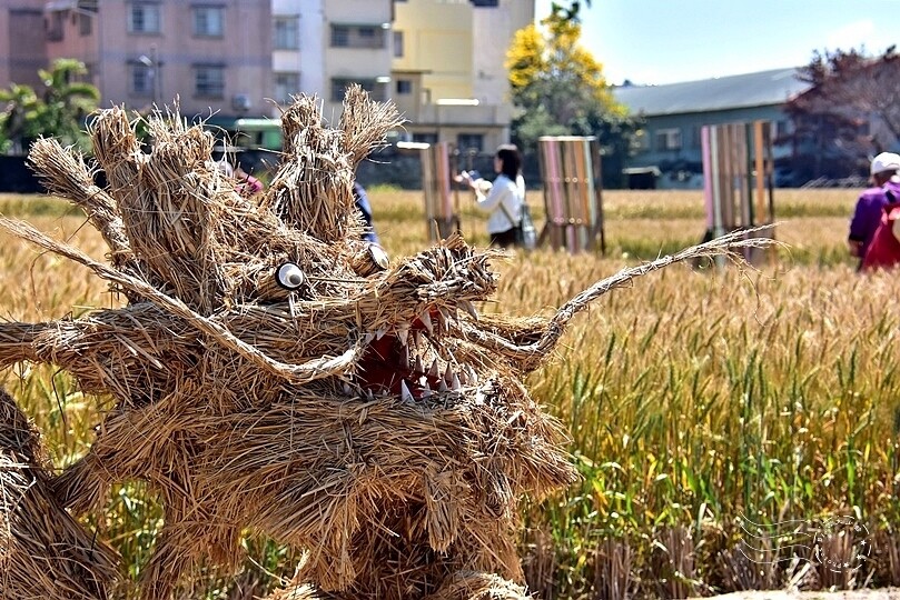 大雅小麥文化節主場