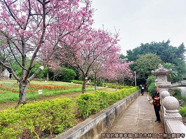 竹林山觀音寺12-池畔與櫻花道.jpg
