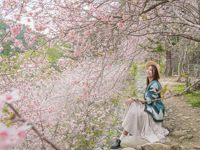 DSC07246-已增強-雜訊減少 DSC07246-已增強-雜訊減少