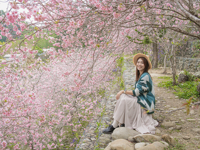 DSC07239-已增強-雜訊減少 DSC07239-已增強-雜訊減少