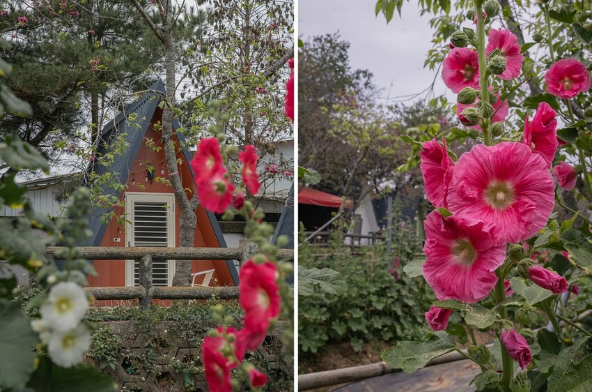 DSC07271-side DSC07271-side