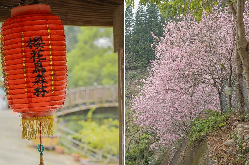 DSC07207-side DSC07207-side