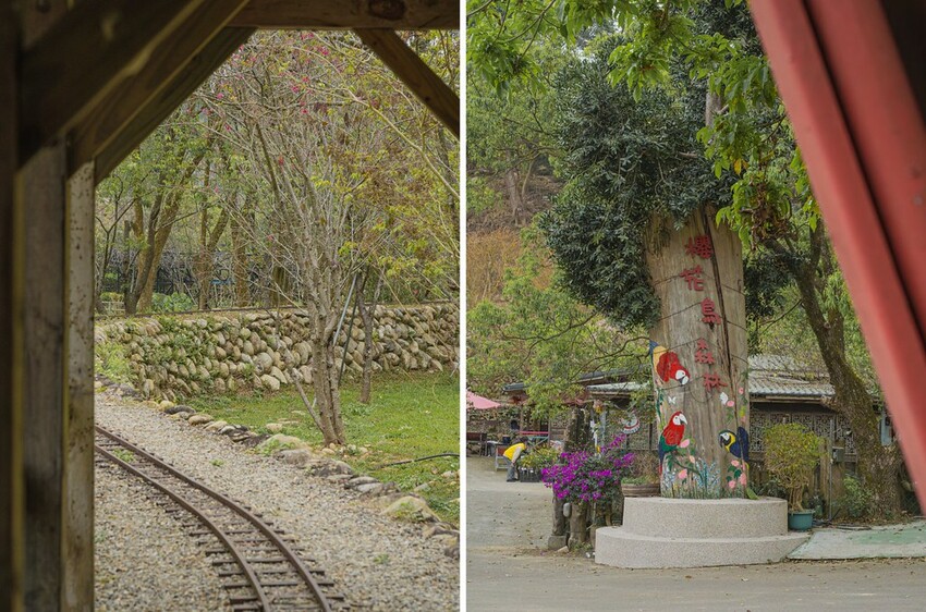 DSC07206-side DSC07206-side