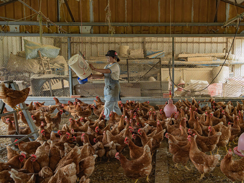 DSC08097-已增強-雜訊減少