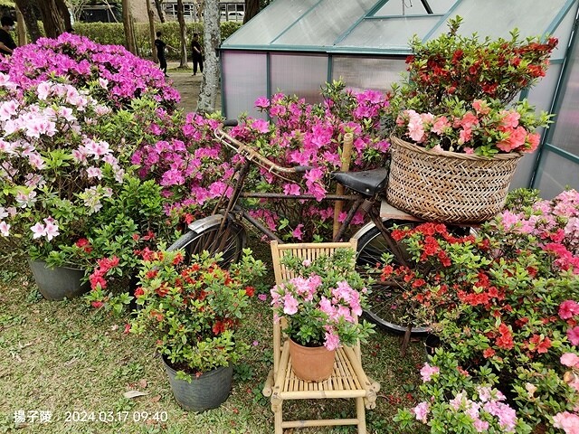 2024台北杜鵑花季|台北花季花IN台北,活動期:2024/