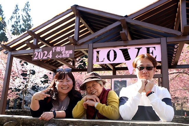 2024福壽山農場｜千櫻園，觀落櫻，遠的要命的福壽山農場｜梨