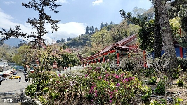 2024福壽山農場｜千櫻園，觀落櫻，遠的要命的福壽山農場｜梨