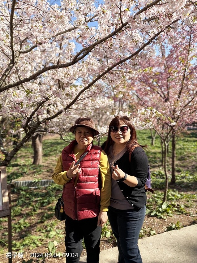 2024福壽山農場｜千櫻園，觀落櫻，遠的要命的福壽山農場｜梨