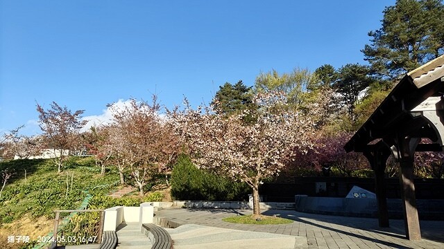 2024宜蘭清水地熱公園,來溫泉煮蛋泡腳趣|梨山賓館,臺灣最