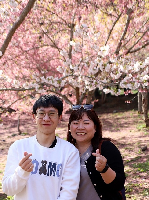 2024福壽山農場｜千櫻園，觀落櫻，遠的要命的福壽山農場｜梨