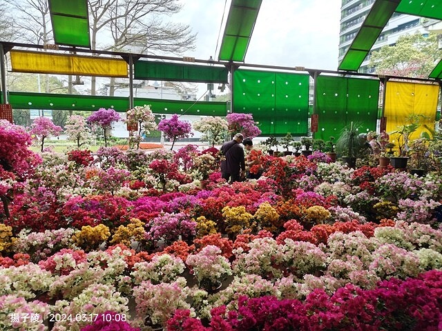 2024台北杜鵑花季|台北花季花IN台北,活動期:2024/