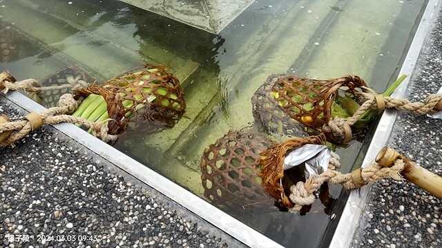 2024宜蘭清水地熱公園,來溫泉煮蛋泡腳趣|梨山賓館,臺灣最