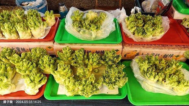 2024宜蘭清水地熱公園,來溫泉煮蛋泡腳趣|梨山賓館,臺灣最