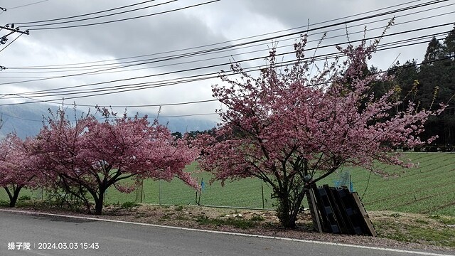 2024宜蘭清水地熱公園,來溫泉煮蛋泡腳趣|梨山賓館,臺灣最