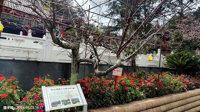 2024宜蘭清水地熱公園,來溫泉煮蛋泡腳趣|梨山賓館,臺灣最