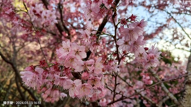 2024宜蘭清水地熱公園,來溫泉煮蛋泡腳趣|梨山賓館,臺灣最