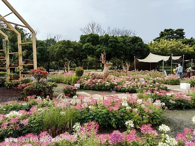 2024台北杜鵑花季|台北花季花IN台北,活動期:2024/