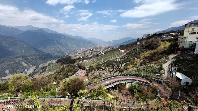 2024福壽山農場｜千櫻園，觀落櫻，遠的要命的福壽山農場｜梨