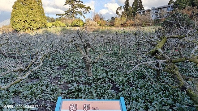 2024宜蘭清水地熱公園,來溫泉煮蛋泡腳趣|梨山賓館,臺灣最