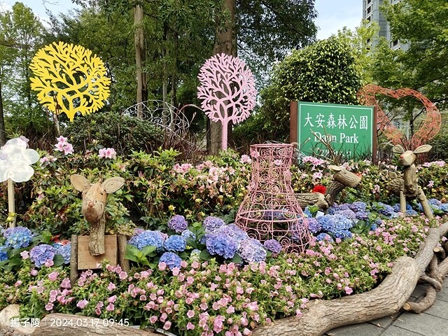 2024台北杜鵑花季|台北花季花IN台北,活動期:2024/