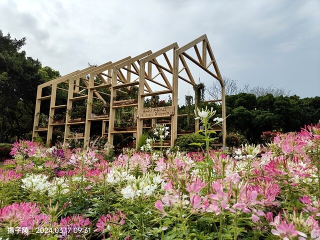 2024台北杜鵑花季|台北花季花IN台北,活動期:2024/